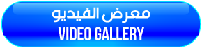 Video Gallery